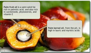 Palm Kernel Oil